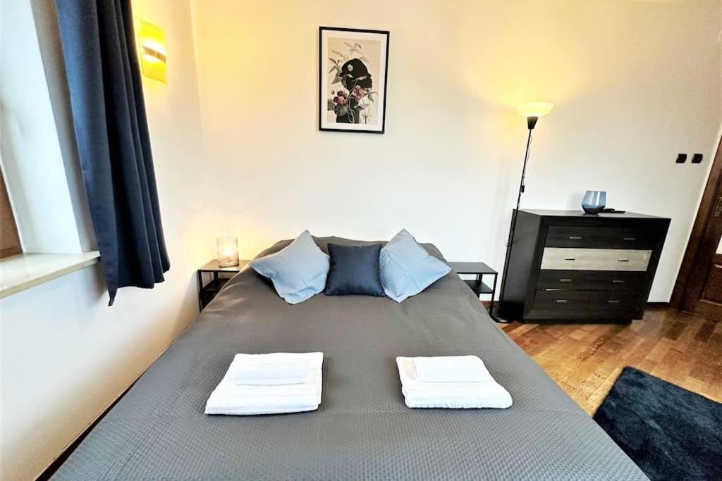Exclusive Penthouse Near Citycenter 120M2 +Netflix Krasków Exterior foto