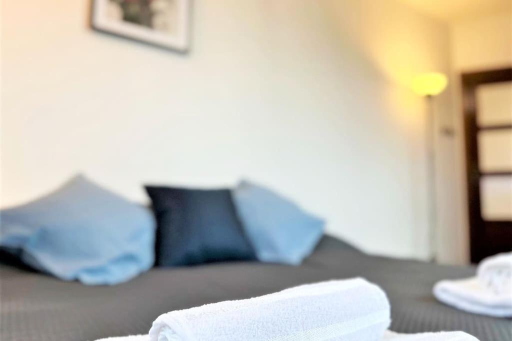 Exclusive Penthouse Near Citycenter 120M2 +Netflix Krasków Exterior foto