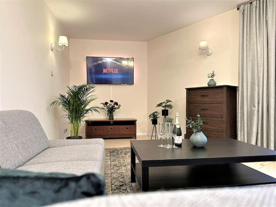 Exclusive Penthouse Near Citycenter 120M2 +Netflix Krasków Exterior foto