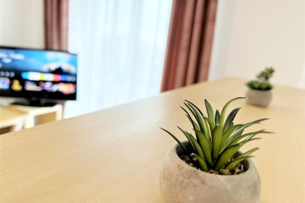 Exclusive Penthouse Near Citycenter 120M2 +Netflix Krasków Exterior foto